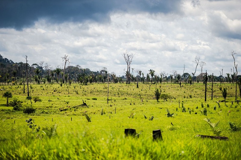 Criada em setembro de 2019, a força-tarefa em defesa da Amazônia é formada por 20 integrantes