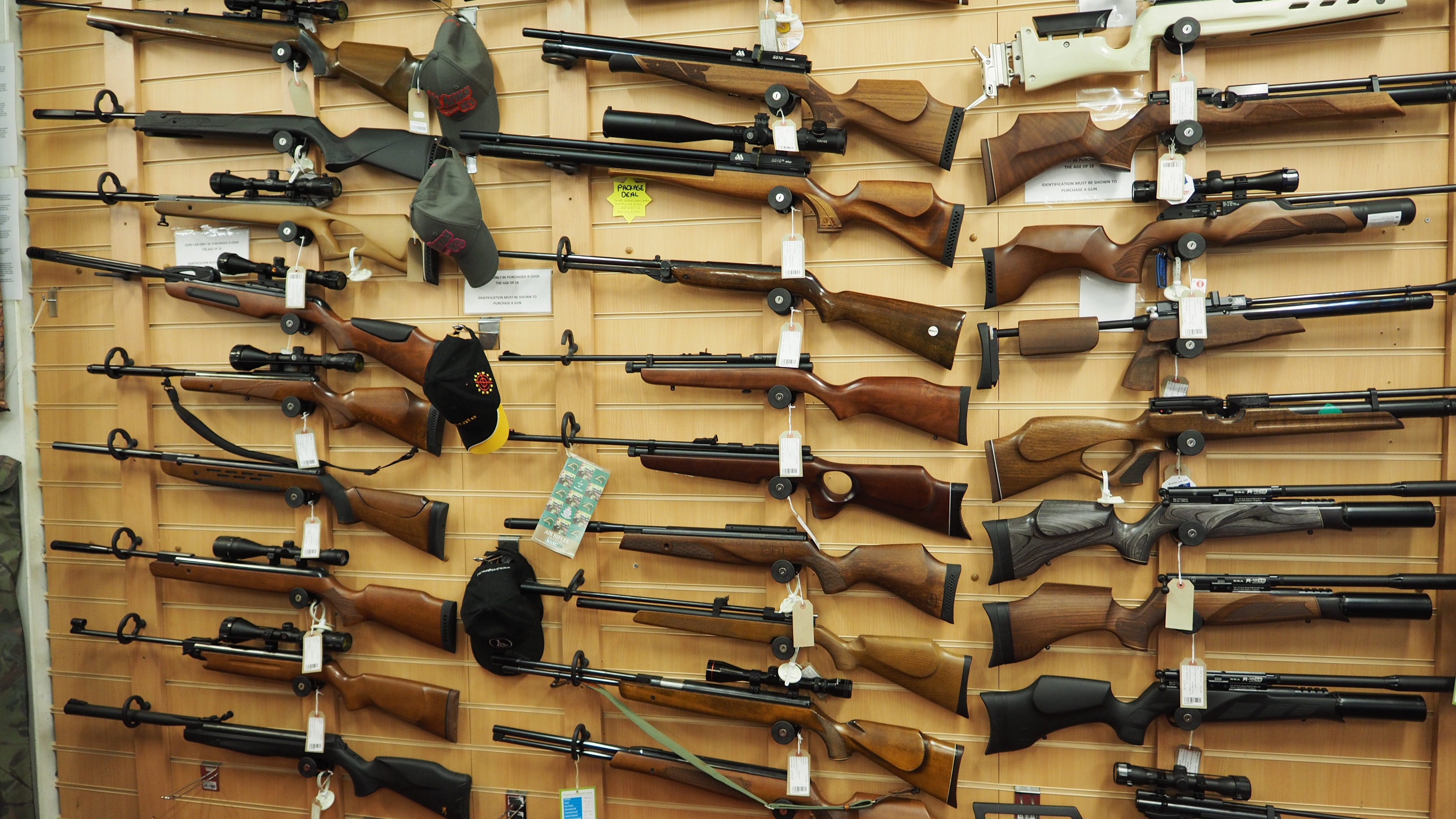 Texto reduz idade mínima para comprar armas e não exige laudo psicológico para regularizar posse