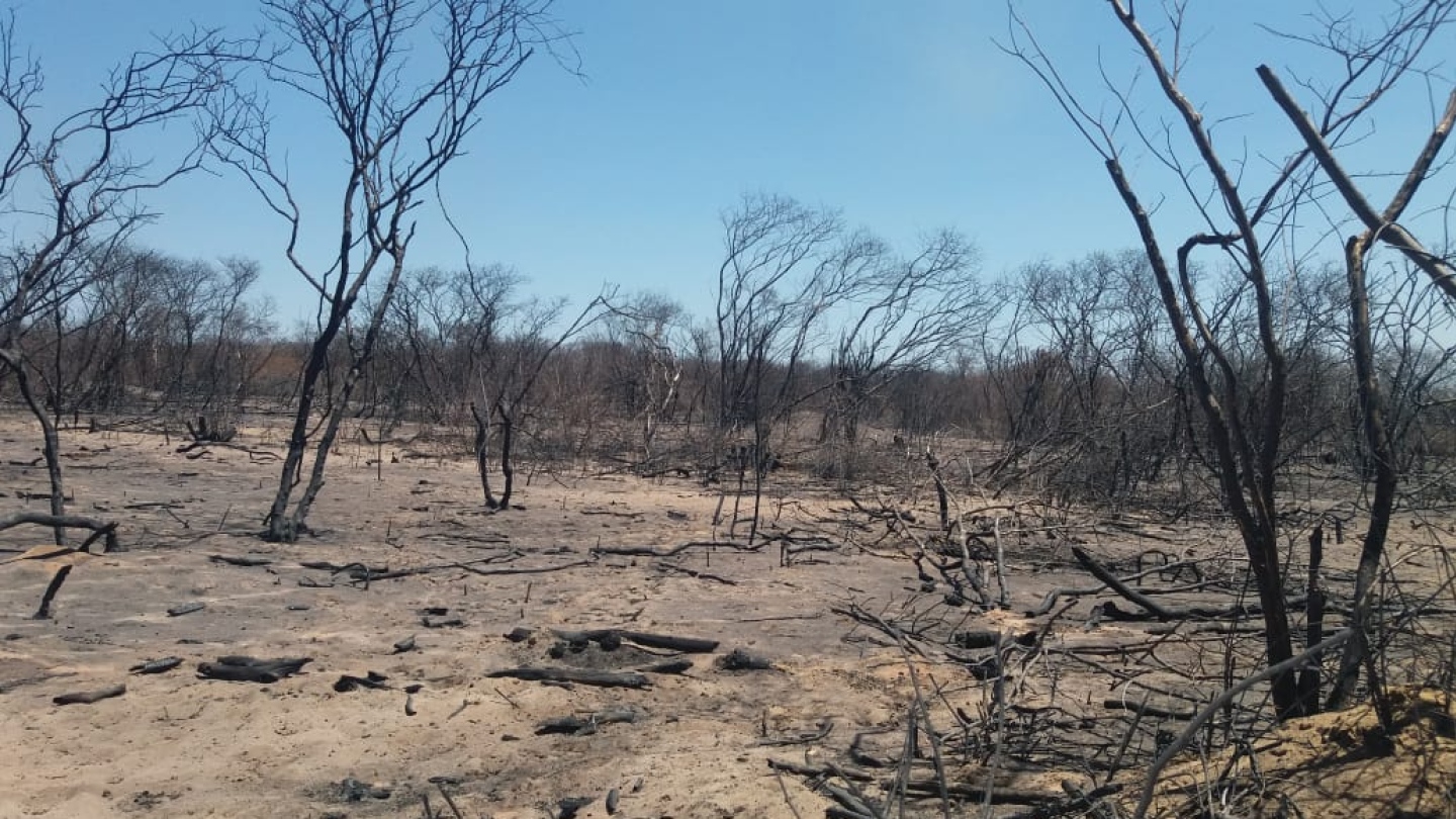 Vegetação da Serra dos Cariás foi destruída