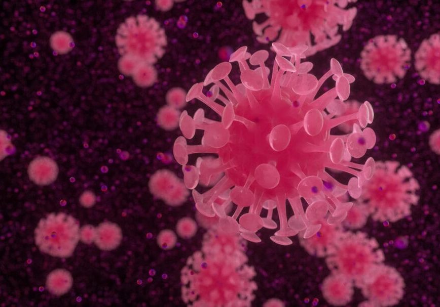 Amostra laboratorial do novo coronavírus, identificado antes na China