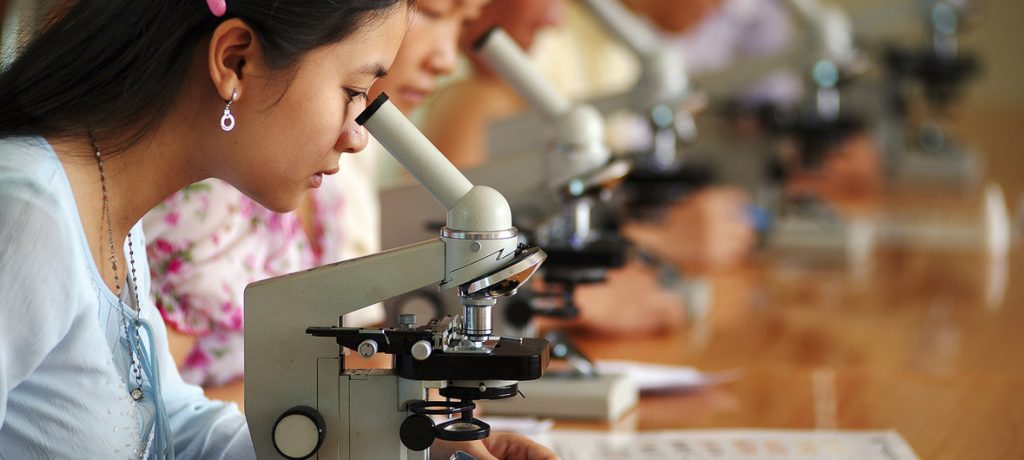 Ao longo destes 15 anos, o prêmio Para Mulheres na Ciência já reconheceu e incentivou 96 cientistas brasileiras