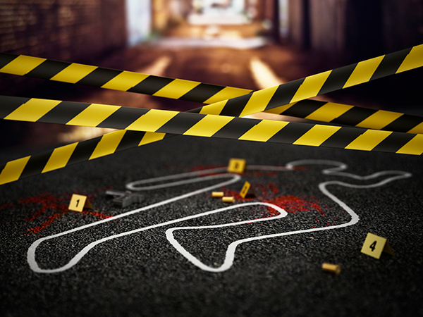 Polícia  Civil do Distrito Federal prende dupla acusada de crime cruel