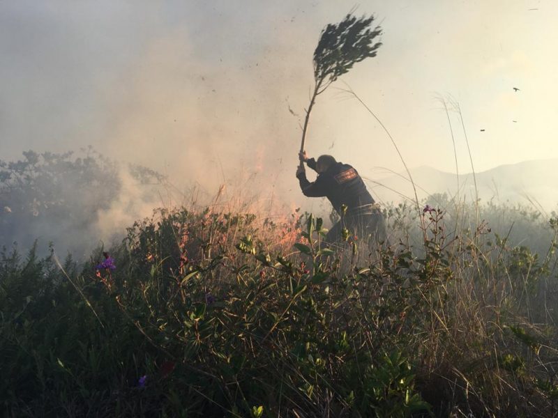 A região já teve incêndios no fim de 2018, em área de vegetação próximo a residências, e em outubro de 2017