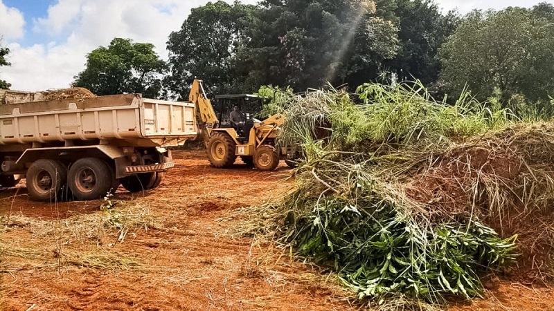 A regulamentação garante ainda que as atividades de baixo impacto sejam autorizadas diretamente pela Administração Regional.