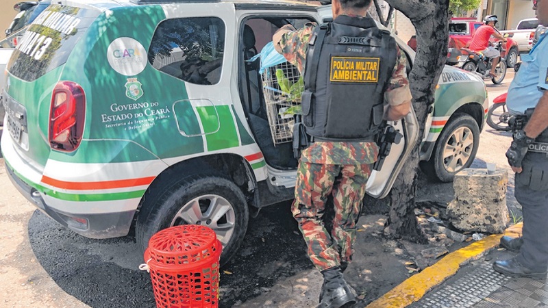 Operação Espanta Raposa desarticulou suposto esquema criminoso no BPMA de Sobral, na Região Norte