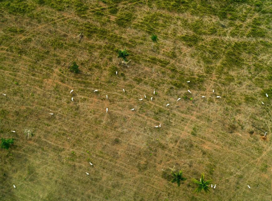 Triunfo do Xingu, no Estado do Pará, em 19 de setembro de 2019