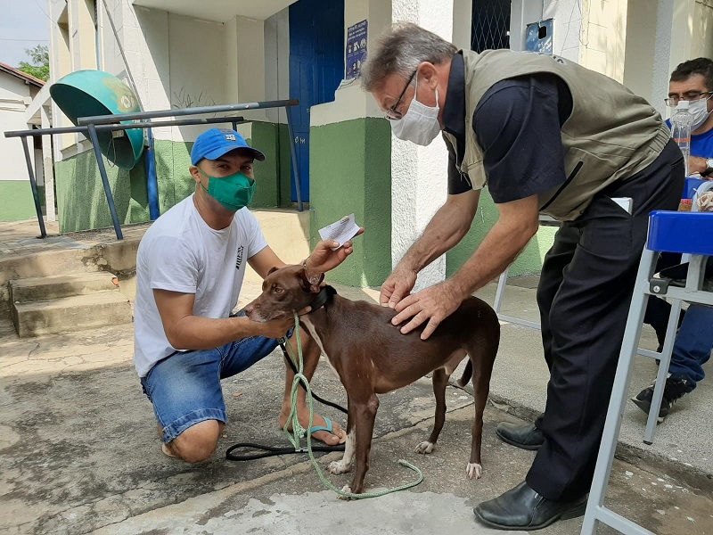 Campanha de vacinação antirrábica para cães e gatos