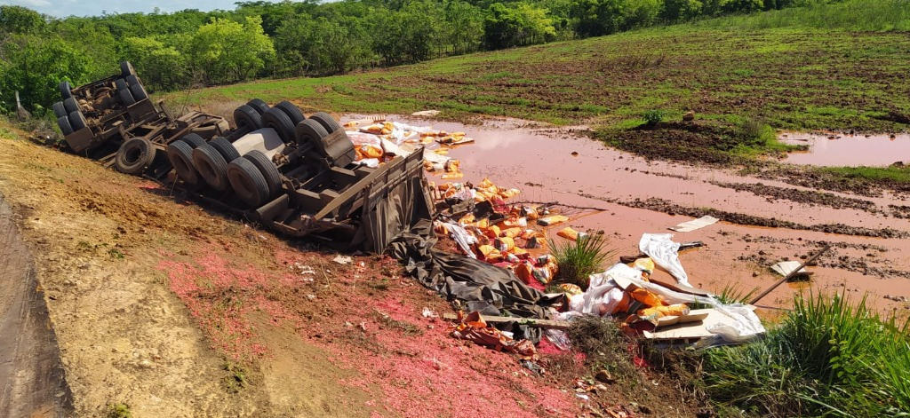 Caminhão carregado com sacos de ração tomba na BR-135