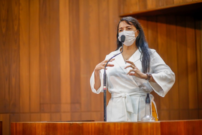 Deputada estadual Teresa Britto (PV)