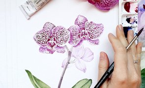 Orquídeas aquareladas sobre papel