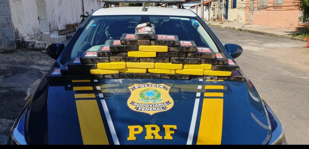 Drogas apreendidas pela polícia