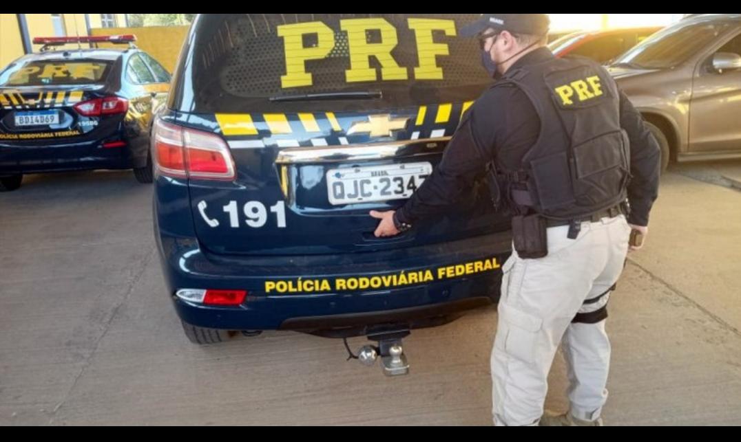 Drogas apreendidas pela polícia