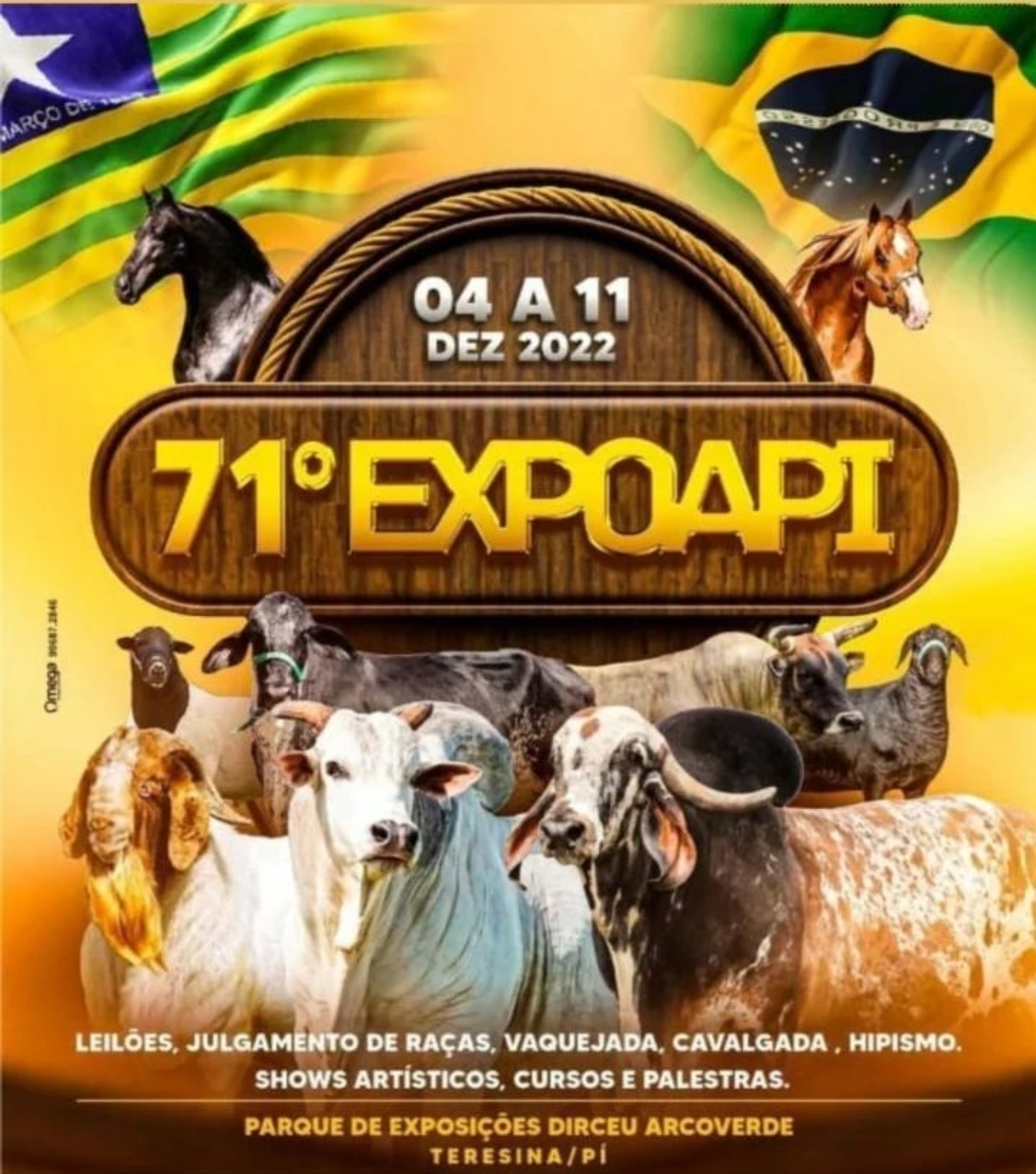 Expoapi vai reunir produtores de 18 estados