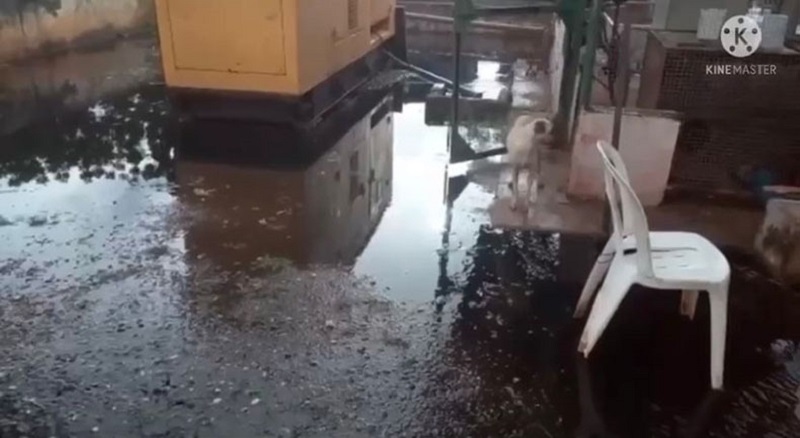 Ambientalista denuncia derramamento de chorume em aterro sanitário