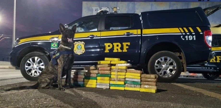 Droga apreendida pela Polícia