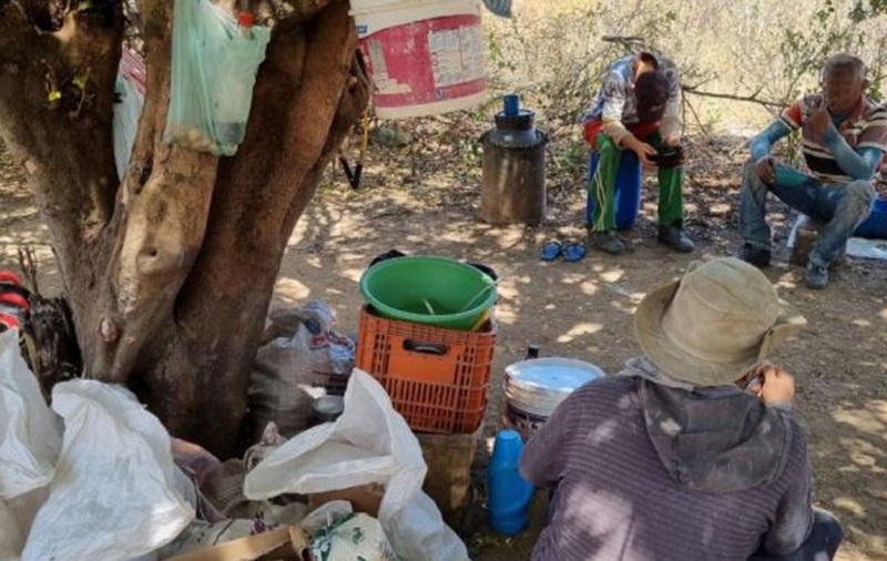 O grupo atuava na extração mecanizada de pó de carnaúba