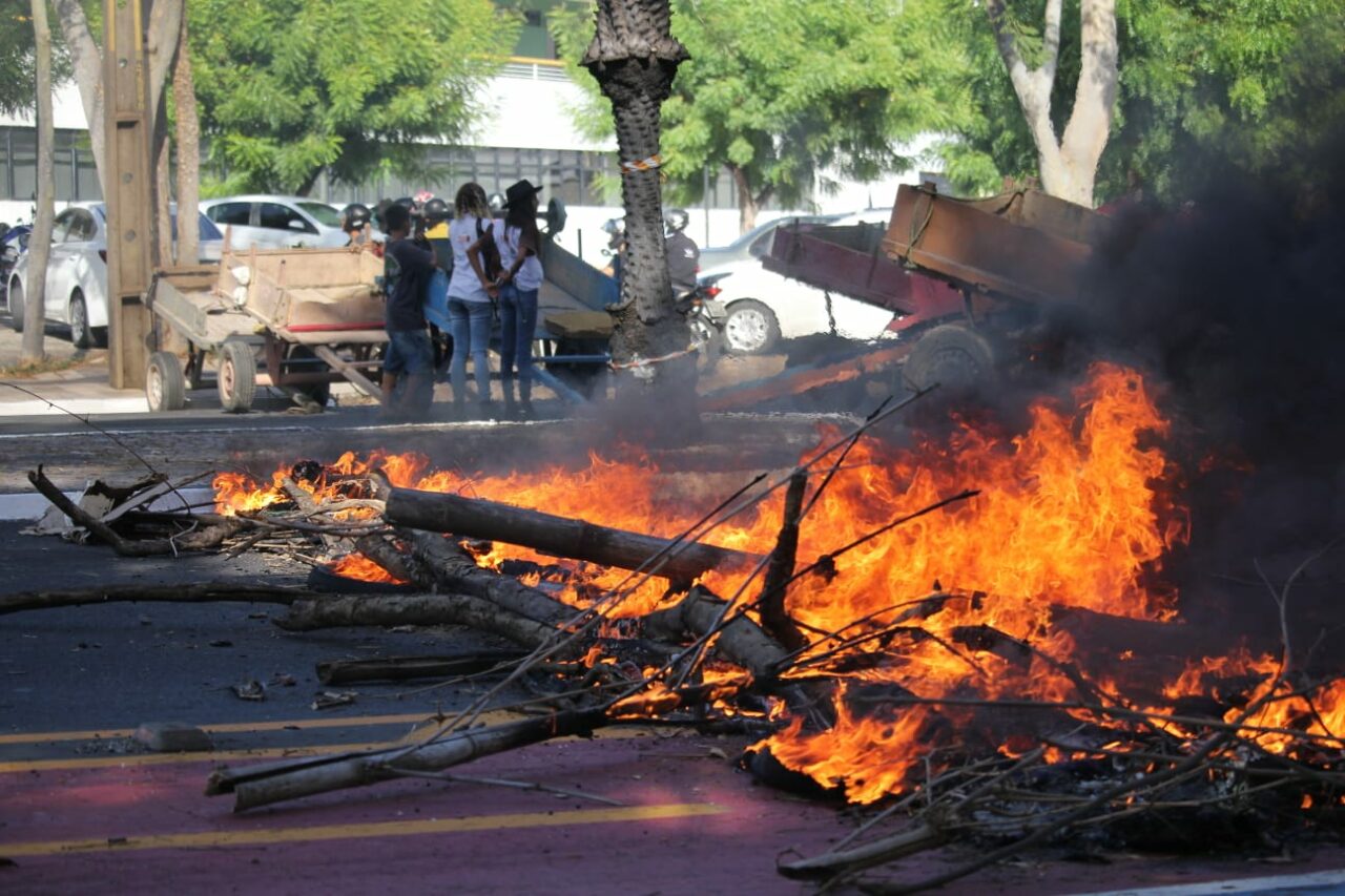 Após vereadora propor fim das carroças, profissionais fazem protesto