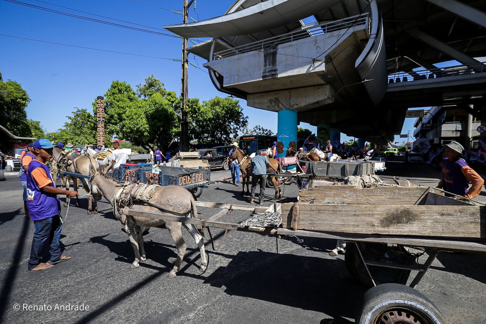 Carroceiros bloqueiam Avenida Maranhão