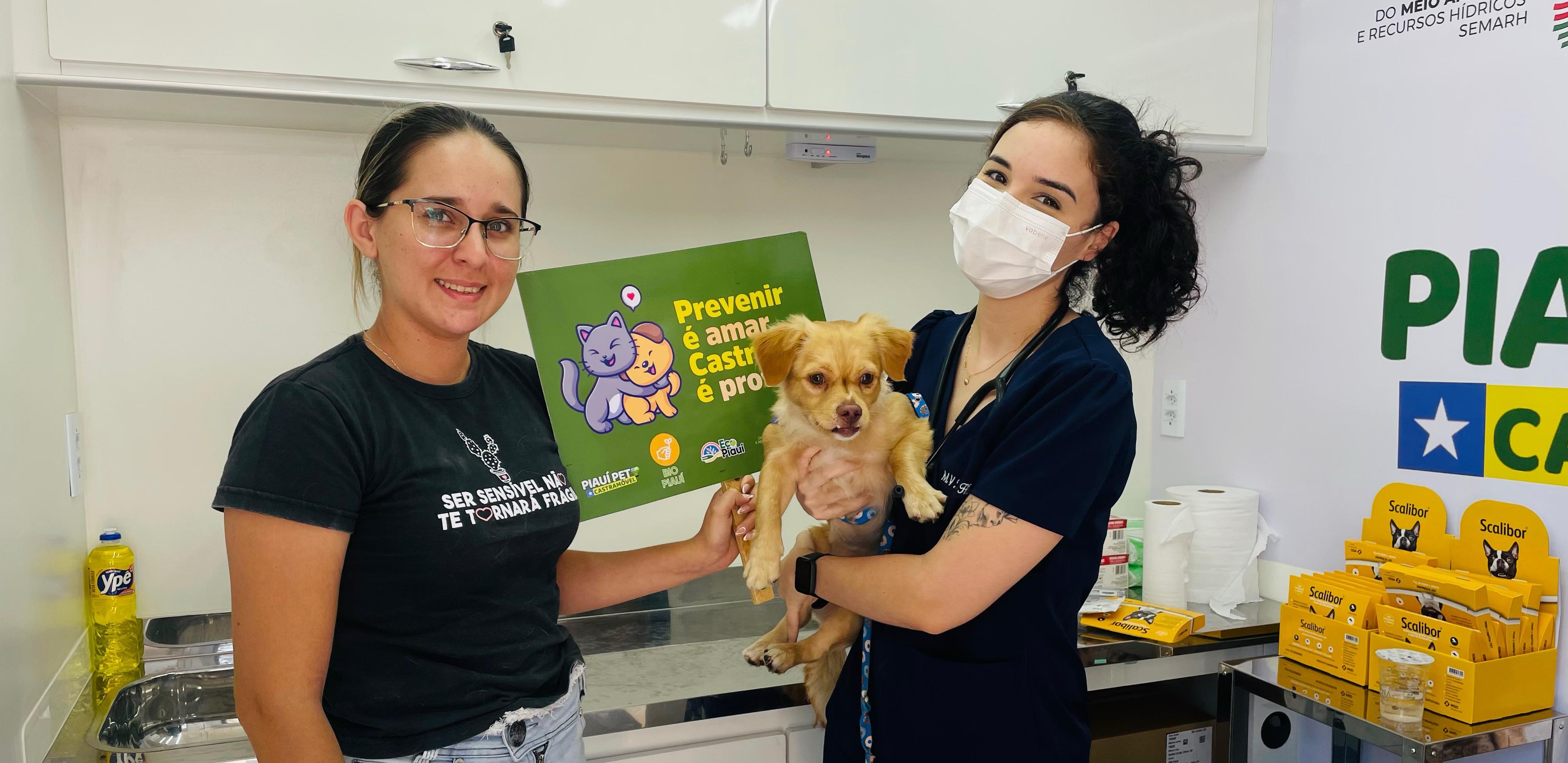 Piauí Pet Castramóvel encerra 2° edição com excelentes números.