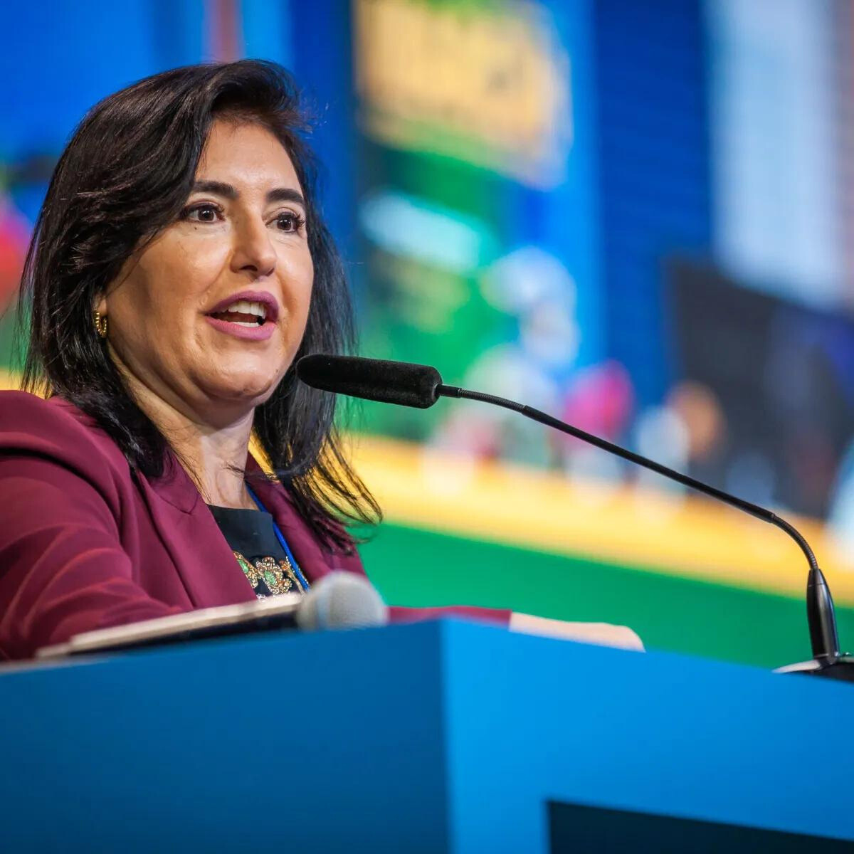 Ministra do Planejamento e Orçamento