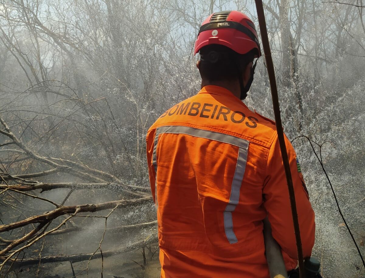 Corpo de Bombeiros alertam sobre queimadas nessa época do ano