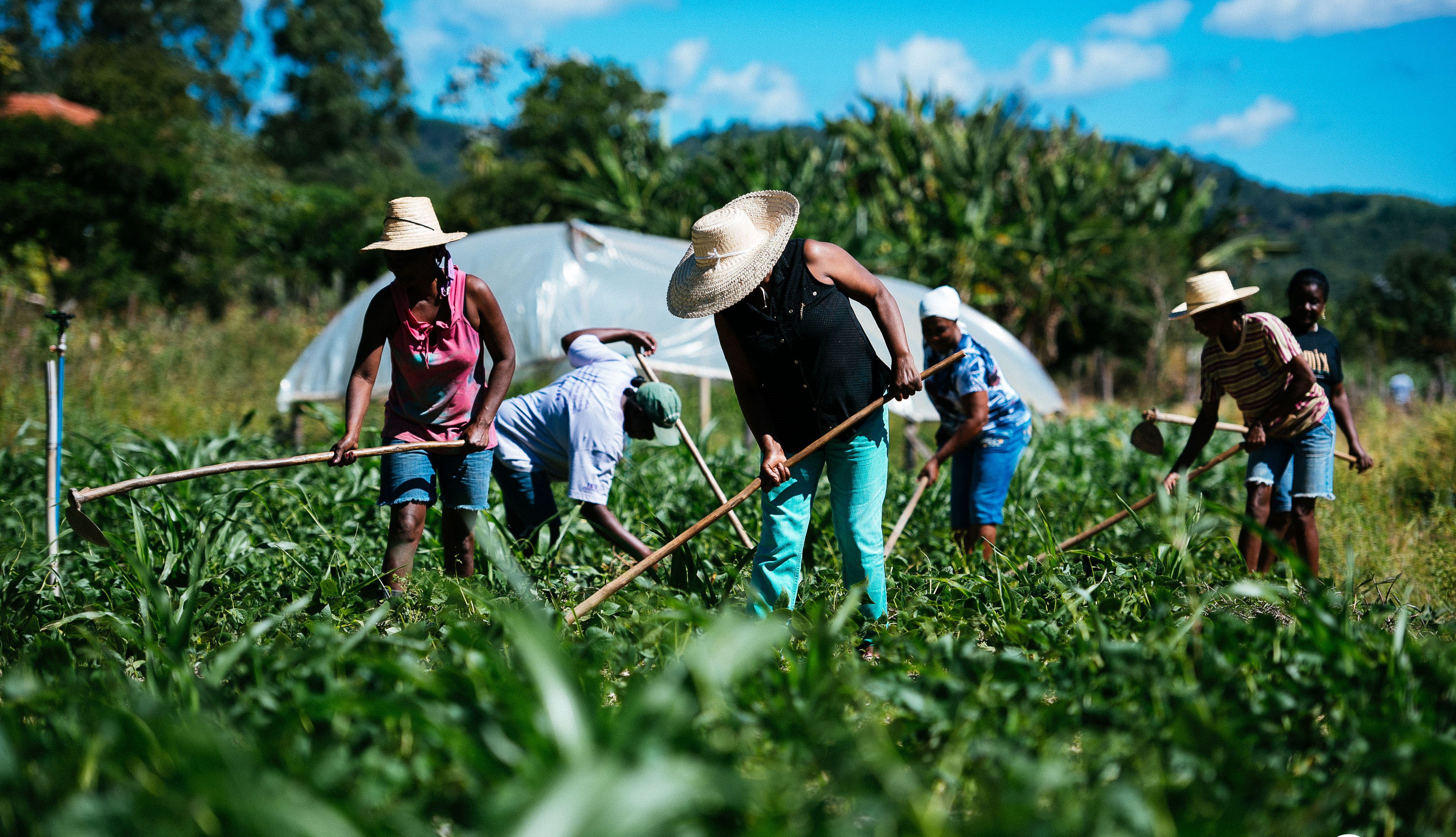 Sancionada Lei 14.628 de 2023 que retoma o Programa de Aquisição de Alimentos (PAA)