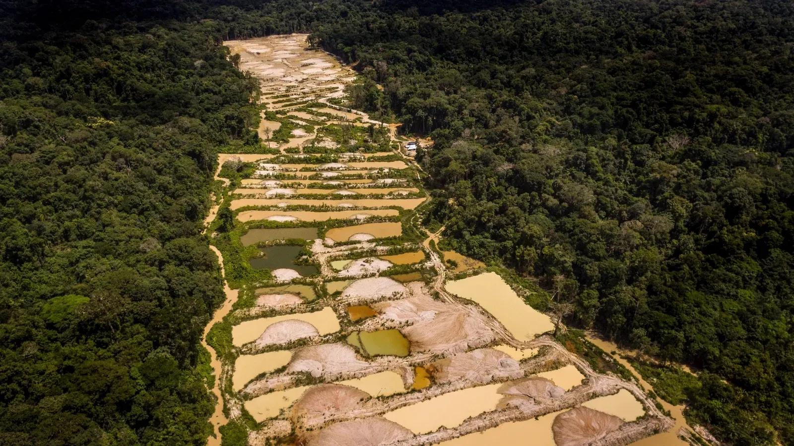 Garimpo ilegal na Amazônia