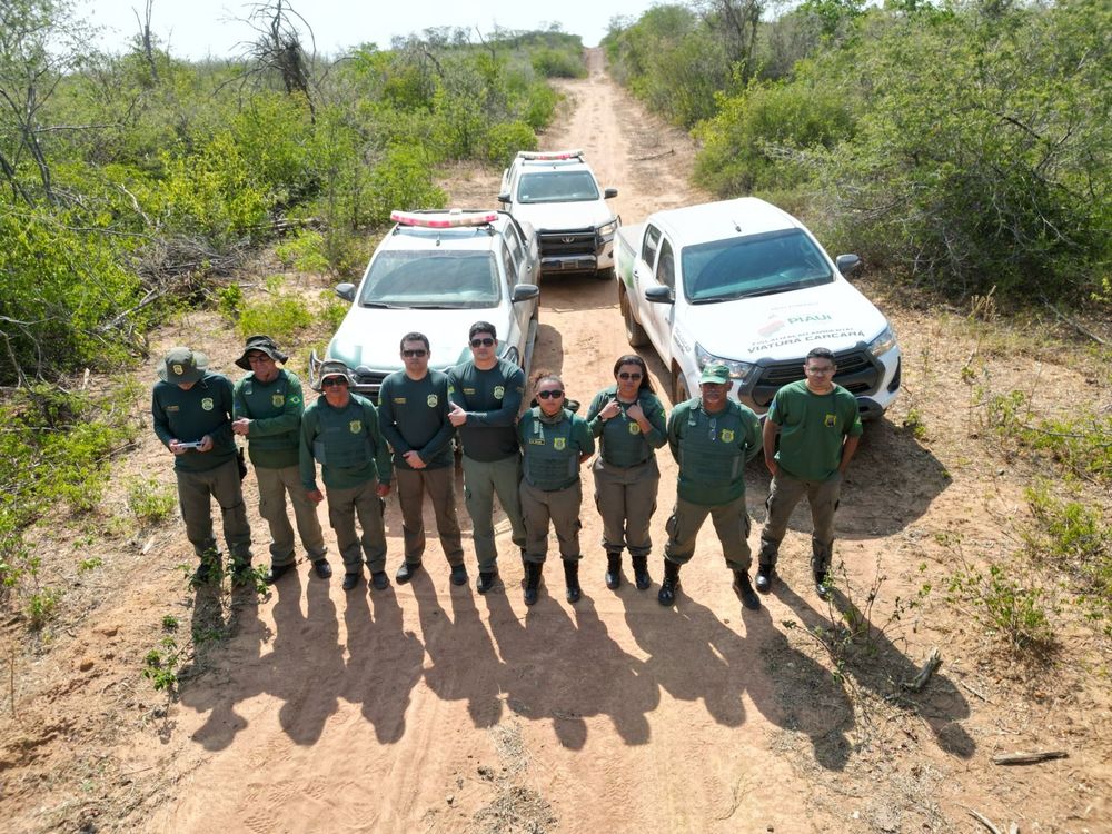 A operação abrangiu a região do Parque Nacional Serra das Confusões, como nos municípios de Curimatá, Morro Cabeça do Tempo e Riacho Frio.