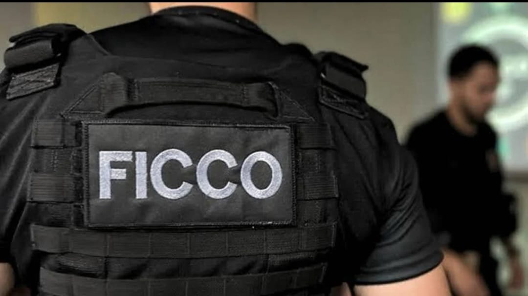 Força Integrada de Combate ao Crime Organizado (FICCO-PI)