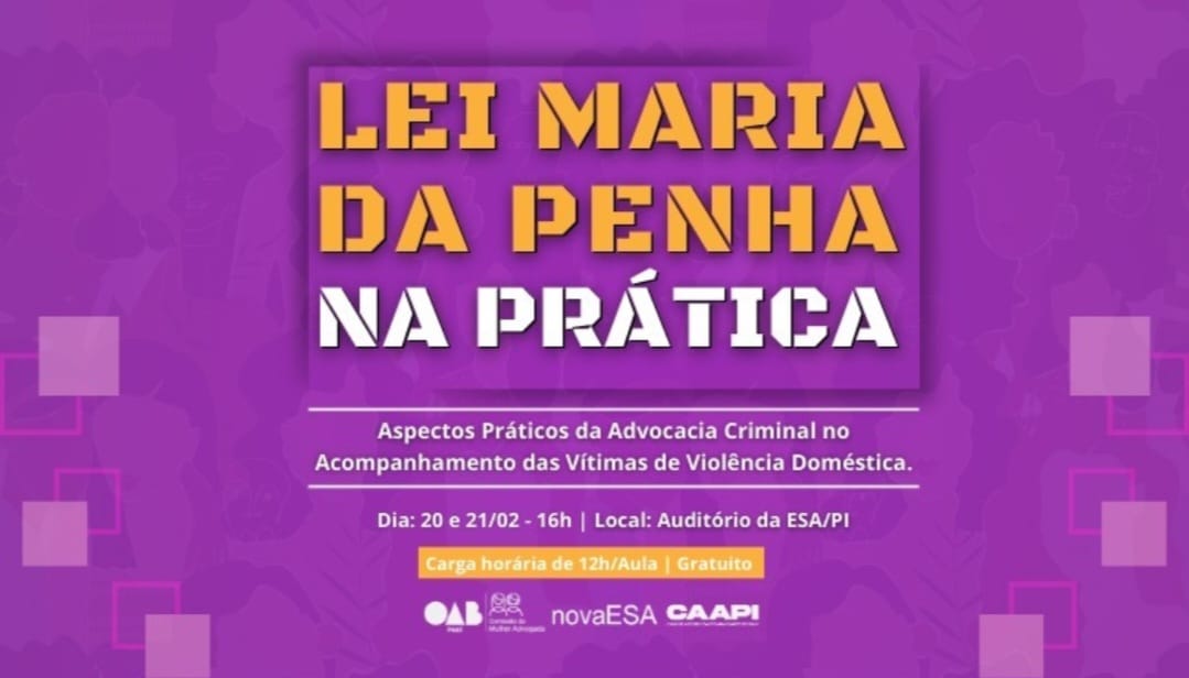 Banner do curso Lei Maria da Penha na Prática