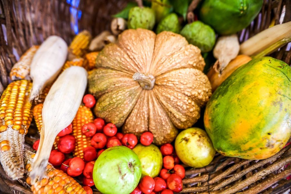 Cesta de alimentos