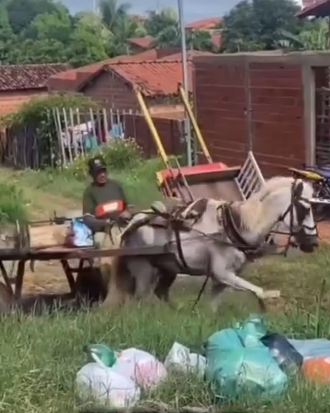 um cavalo exausto e sobrecarregado puxa uma carroça, enquanto é agredido por seu condutor