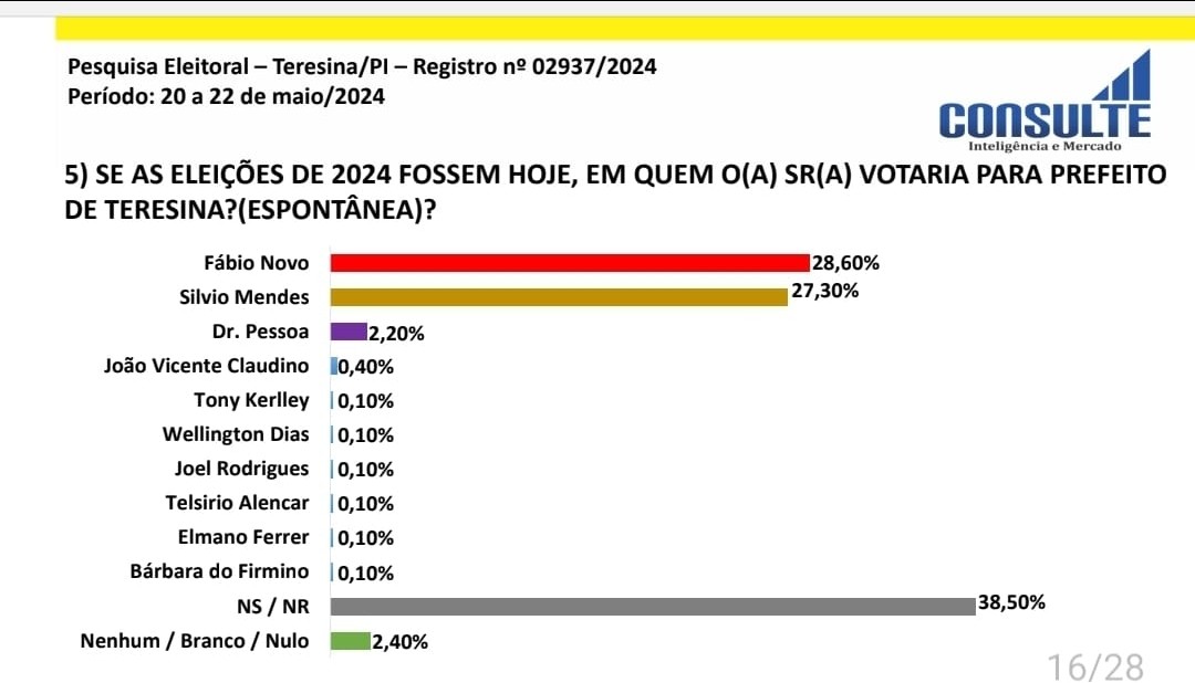 Pesquisa espontânea