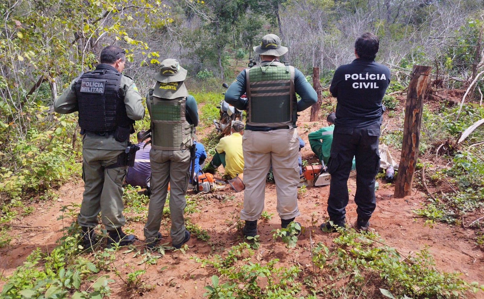 Secretaria de Meio Ambiente intensifica combate ao desmatamento no Cerrado do Sul do Piauí com a Operação Cerrado Vivo