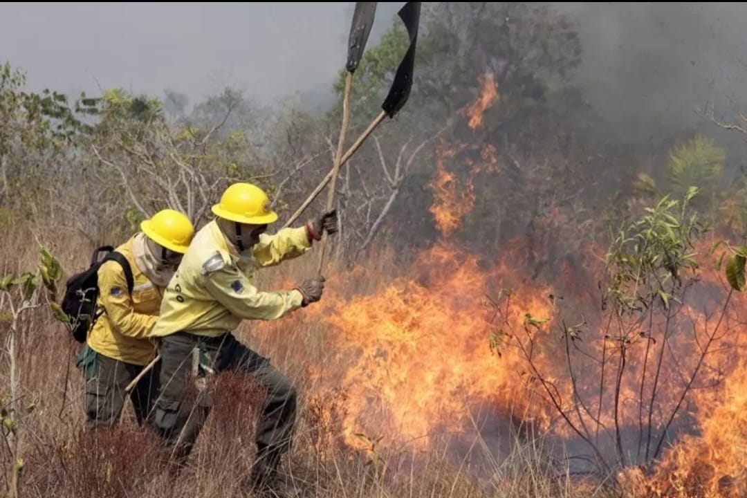 Inteligência Artificial antecipa cenários e faz previsão de onde ocorrerá incêndios no Piauí