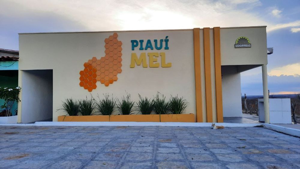 Piauí Mel, empresa da Cooperativa dos Pequenos Produtores Rurais de Assunção do Piauí (COOPPRAS)