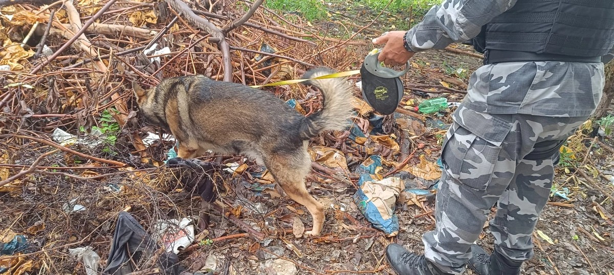 Companhia de Policiamento com Cães (CPCães)