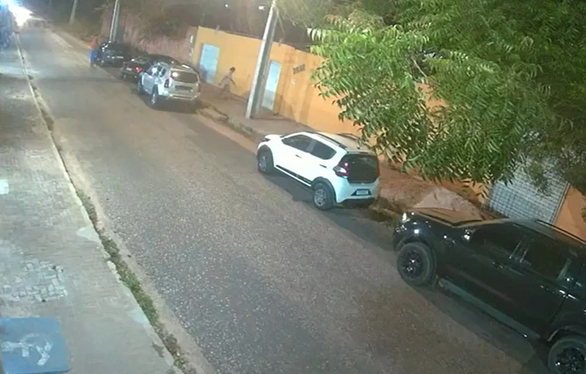 Câmera de segurança flagrou maus-tratos