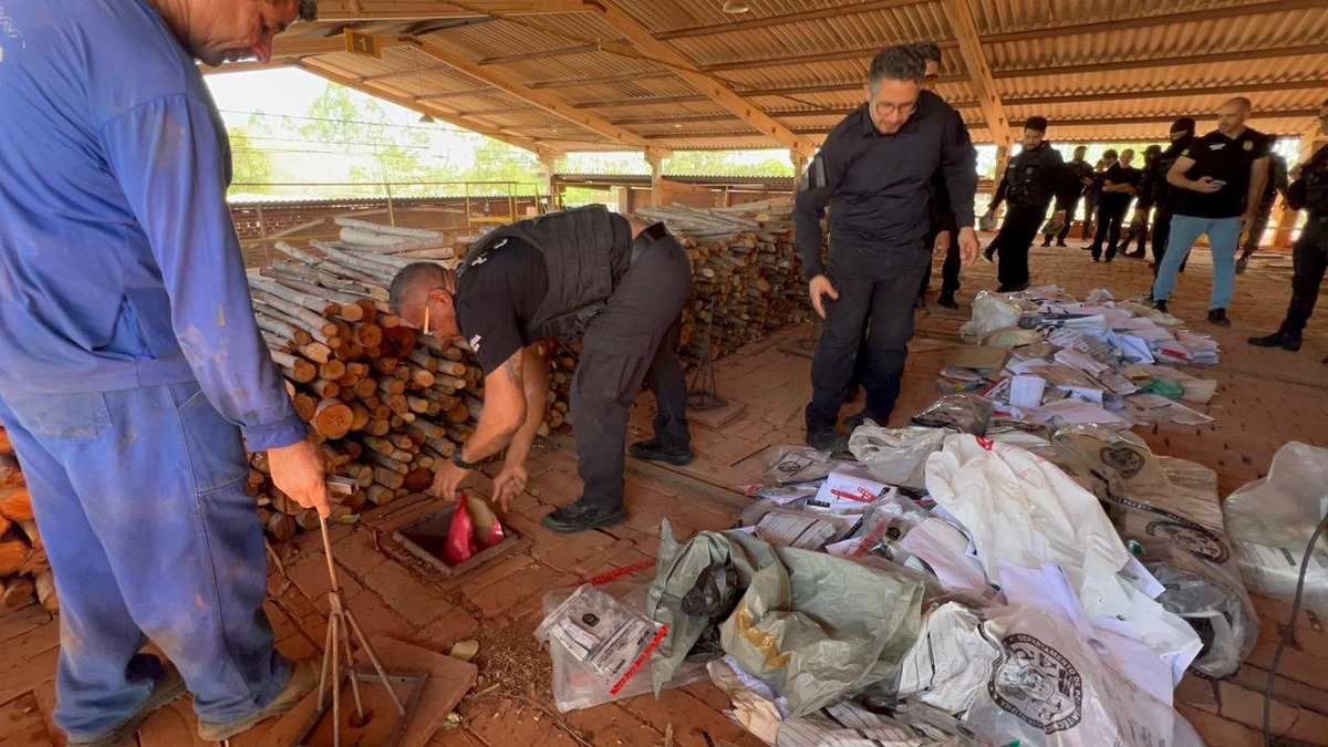 Incineração de drogas