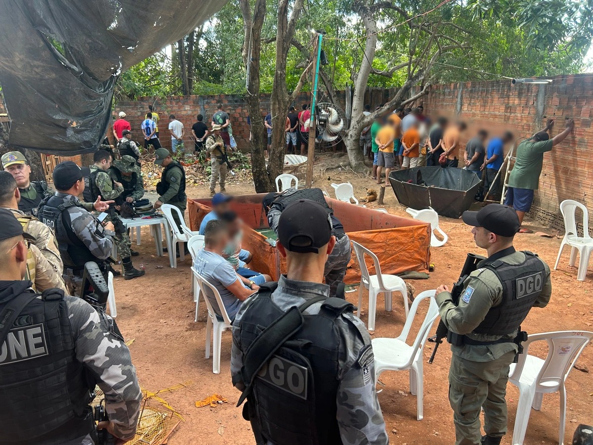 Polícia Militar desarticula rinha de galos na zona leste de Teresina