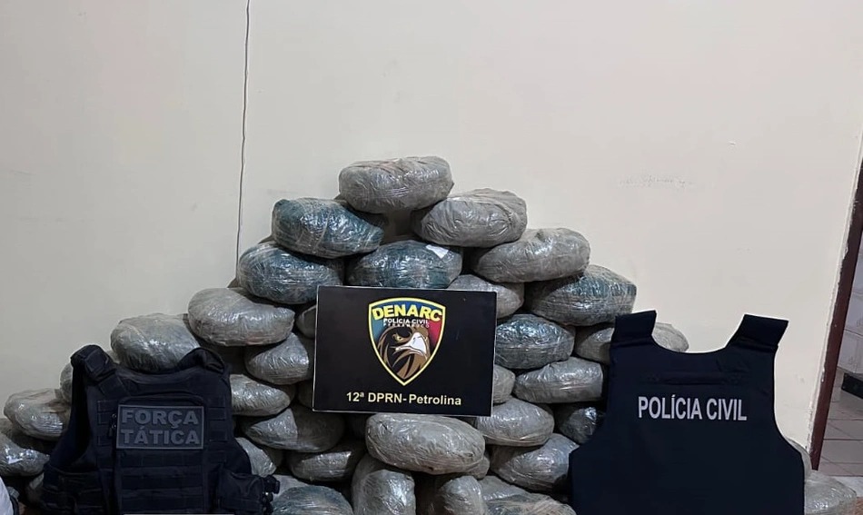 Polícia apreende 83 kg de maconha e prende quatro pessoas no Sul do Piauí