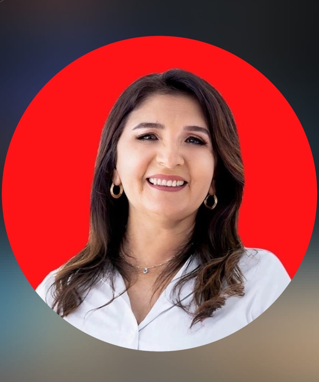 Maninha Fontenele (PT)